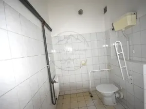 Pronájem výrobních prostor, Česká Ves, Jesenická, 356 m2