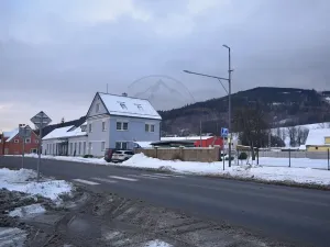 Pronájem výrobních prostor, Česká Ves, Jesenická, 356 m2