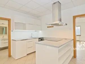 Pronájem kanceláře, Moravany, Modřická, 167 m2