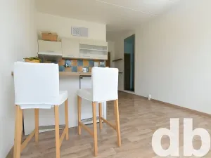 Prodej bytu 1+kk, Chodov, Čapkova, 21 m2