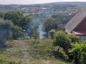 Prodej zahrady, Dolní Kounice, Kamenný vrch, 1117 m2