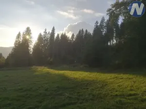 Prodej pozemku, Želnava, 14303 m2