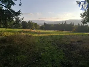 Prodej pozemku, Želnava, 14303 m2