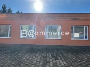 Pronájem skladu, Brno, Vychodilova, 713 m2