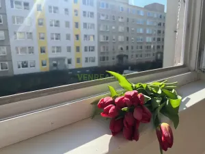 Pronájem bytu 1+kk, Praha - Modřany, Rodopská, 30 m2