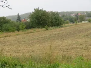 Dražba pole, Pravlov, 1289 m2