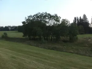 Dražba louky, Čistá u Horek, 14711 m2