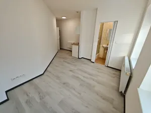 Pronájem bytu 1+kk, Praha - Hlubočepy, Na Zlíchově, 20 m2