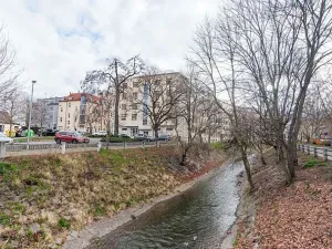 Pronájem garážového stání, Praha - Michle, Magistrů, 18 m2