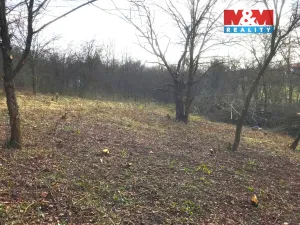 Prodej zahrady, Postoloprty - Mradice, 394 m2