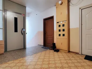 Prodej bytu 2+1, Kamenná, 56 m2