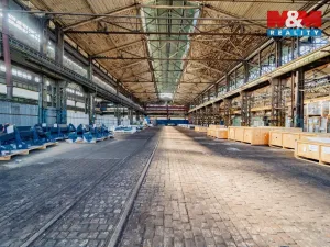 Pronájem výrobních prostor, Ostrava - Vítkovice, 1000 m2