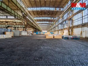 Pronájem výrobních prostor, Ostrava - Vítkovice, 1000 m2