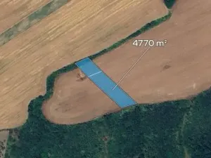 Prodej podílu pole, Nedachlebice, 1192 m2