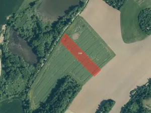 Prodej pole, Kout na Šumavě, 31661 m2