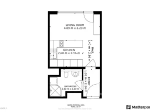 Pronájem bytu 1+kk, Praha - Žižkov, Olgy Havlové, 27 m2