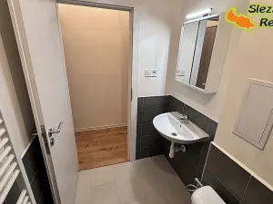 Pronájem bytu 1+kk, Ostrava, Palackého, 26 m2