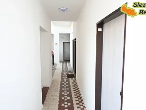 Pronájem bytu 1+kk, Ostrava, Palackého, 26 m2