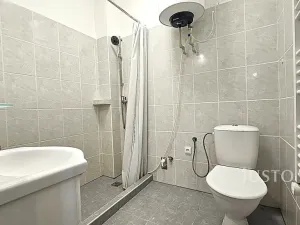 Prodej rodinného domu, Písek, Denisova, 160 m2