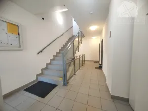 Pronájem bytu 1+kk, Praha - Hloubětín, Nepelova, 29 m2