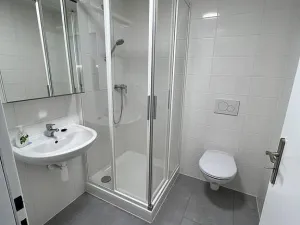 Pronájem bytu 1+kk, Brno - Maloměřice, Hády, 18 m2