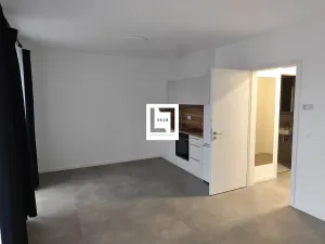 Pronájem bytu 1+kk, Olomouc, Bryksova, 39 m2