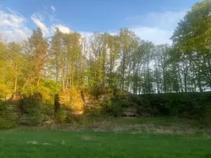 Dražba louky, Tachov, 3829 m2