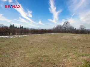 Prodej pozemku pro bydlení, Rychvald, Vléčná, 1058 m2