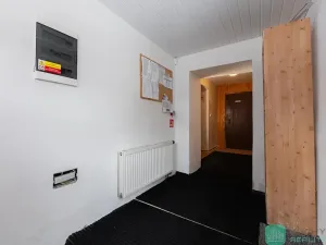 Prodej vily, Loučná pod Klínovcem, 207 m2