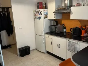 Pronájem bytu 1+kk, Praha - Žižkov, Lupáčova, 45 m2