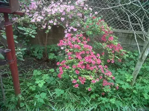 Prodej pozemku pro bydlení, Uherský Ostroh, 600 m2