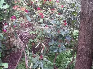 Prodej pozemku pro bydlení, Uherský Ostroh, 600 m2