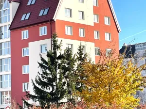 Pronájem bytu 1+kk, Brno - Líšeň, Molákova, 43 m2