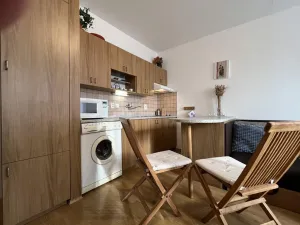 Pronájem bytu 1+kk, Třeboň - Třeboň II, U Francouzů, 28 m2