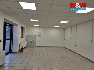 Pronájem obchodního prostoru, Český Těšín, Ostravská, 230 m2