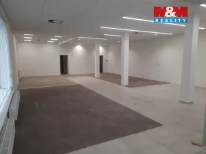 Pronájem obchodního prostoru, Brno - Žabovřesky, Minská, 185 m2