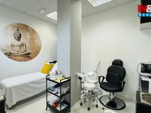 Pronájem kanceláře, Klecany, V Honech, 179 m2