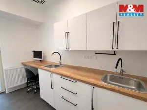 Pronájem komerční nemovitosti, Praha - Nové Město, Opletalova, 16 m2