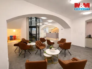 Pronájem komerční nemovitosti, Praha - Nové Město, Opletalova, 16 m2