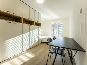 Pronájem bytu 1+kk, Praha - Nusle, Na bitevní pláni, 30 m2