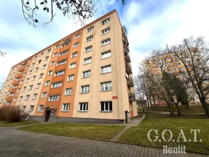 Prodej bytu 1+1, Plzeň, Na Dlouhých, 36 m2