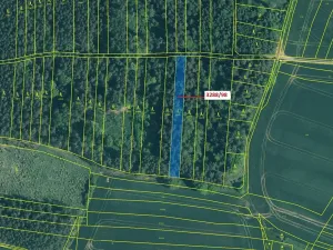 Dražba lesa, Hosty, 1685 m2