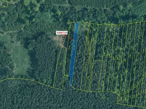 Dražba lesa, Hosty, 1707 m2