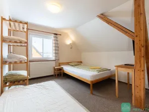 Prodej ubytování, Loučná pod Klínovcem, 428 m2