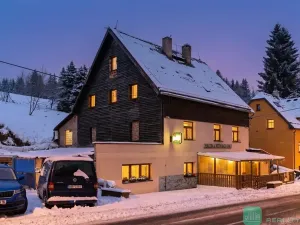 Prodej ubytování, Loučná pod Klínovcem, 428 m2