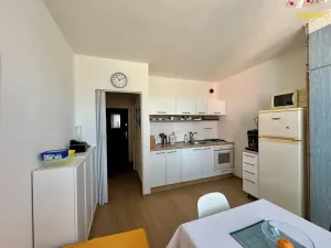 Prodej bytu 1+1, Třebíč, Modřínová, 38 m2