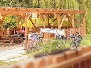 Prodej restaurace, Městečko, 230 m2