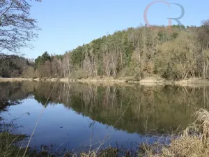 Prodej chaty, Hromnice - Planá, 66 m2