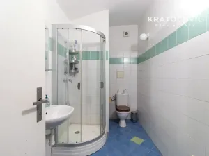 Prodej bytu 1+kk, Praha - Karlín, Březinova, 50 m2