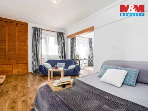 Prodej bytu 1+1, Hradec Králové - Pražské Předměstí, Gočárova třída, 41 m2